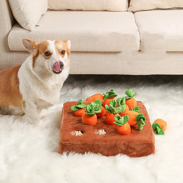 Carrot Farm - Interactive Snuffle Toy
