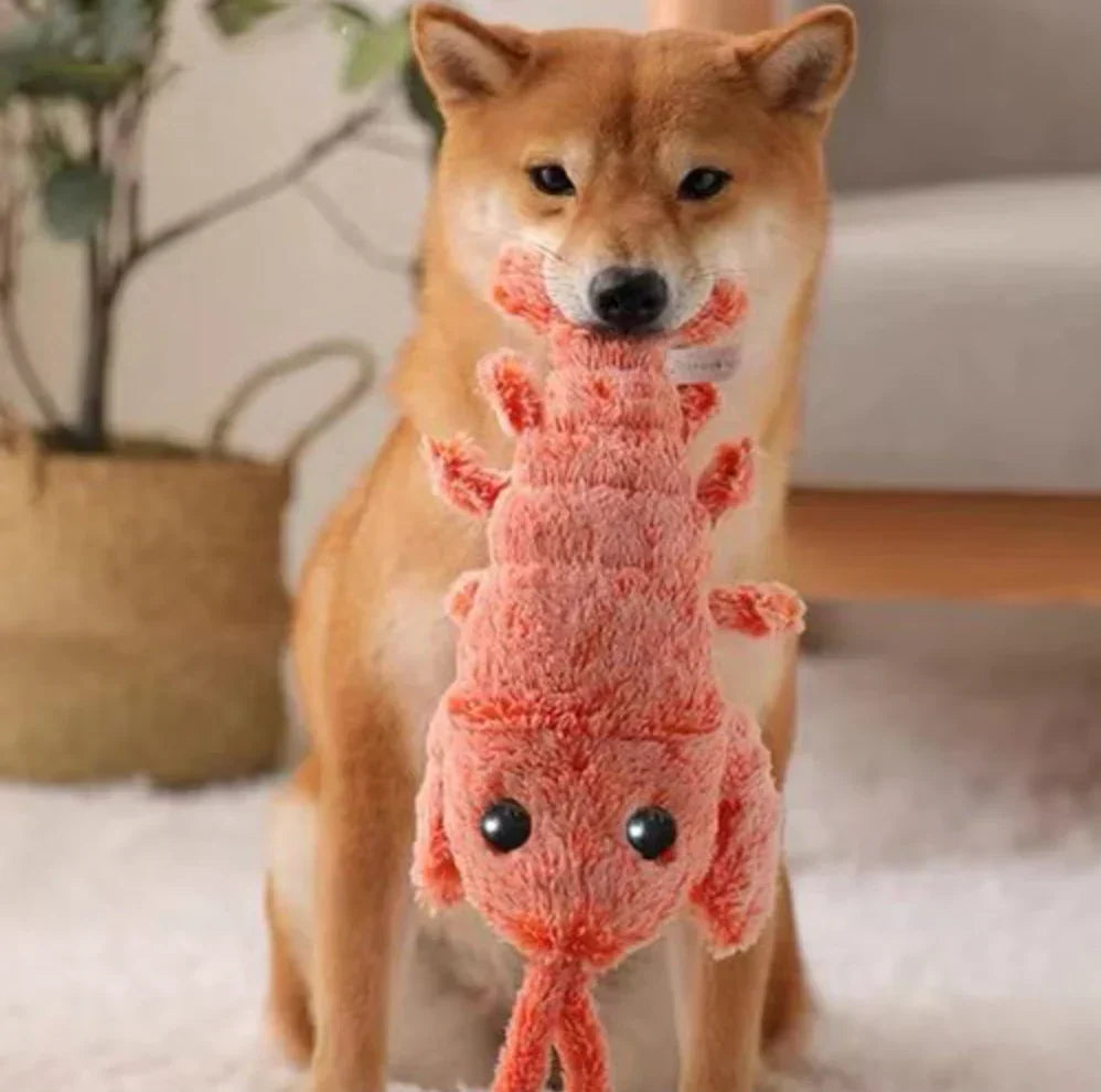 Wobbly Lobster - Interactive Dog Toy