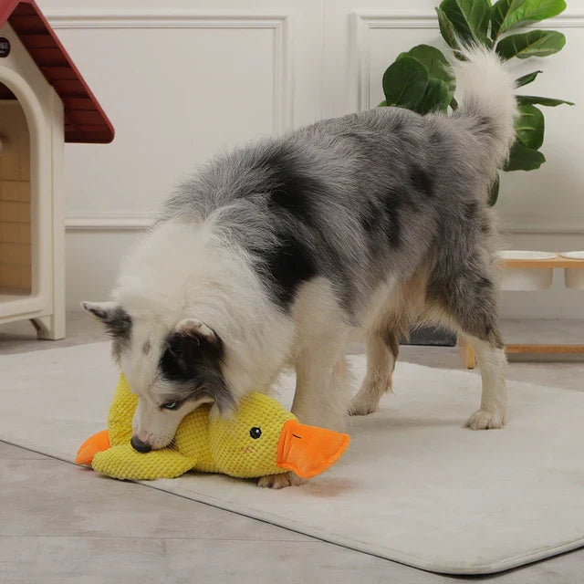 Anti-Stress Duck - Plush Toy for Dogs