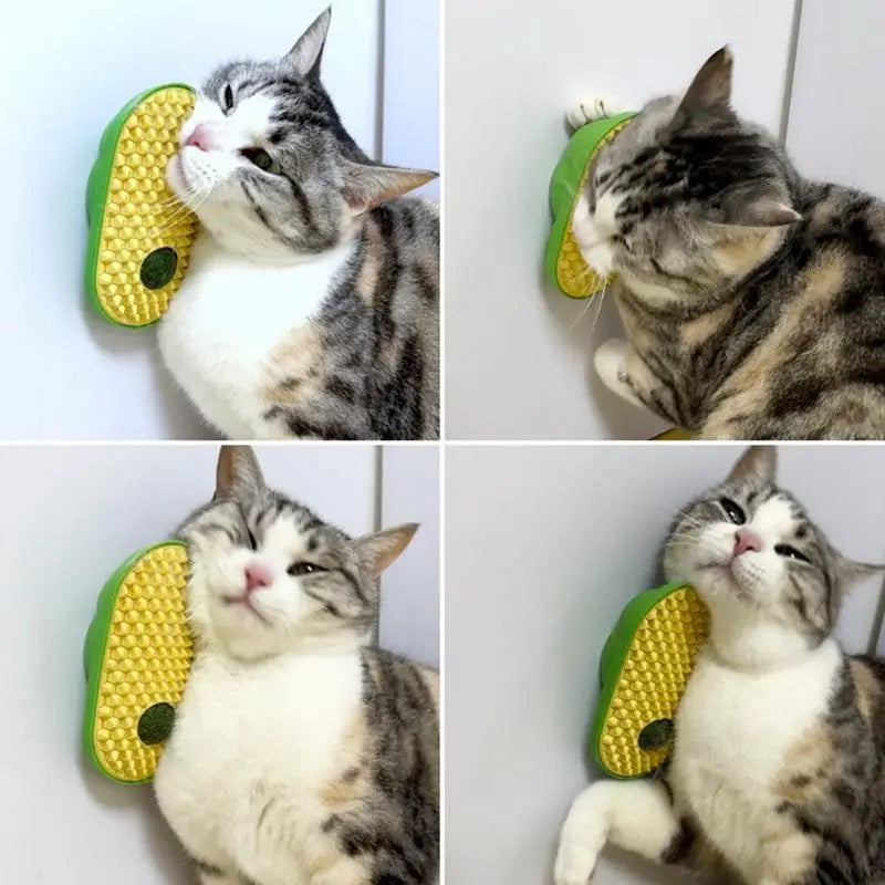 Catnip with Brush