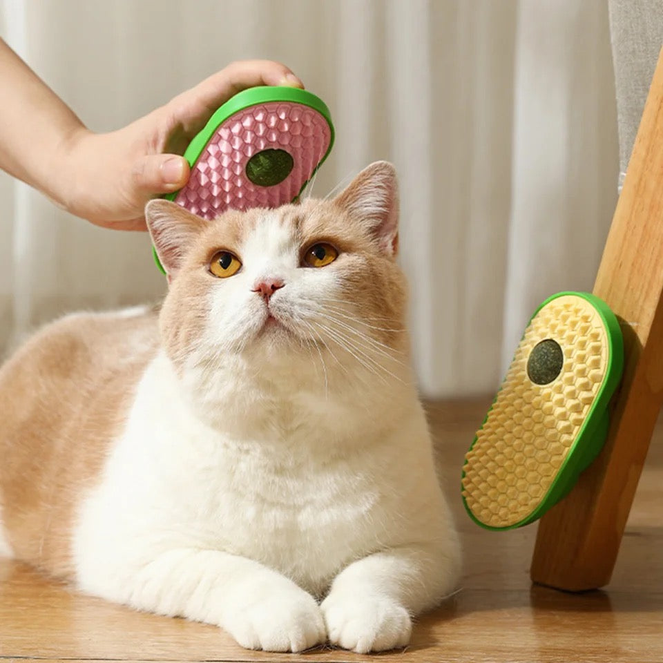 Catnip with Brush