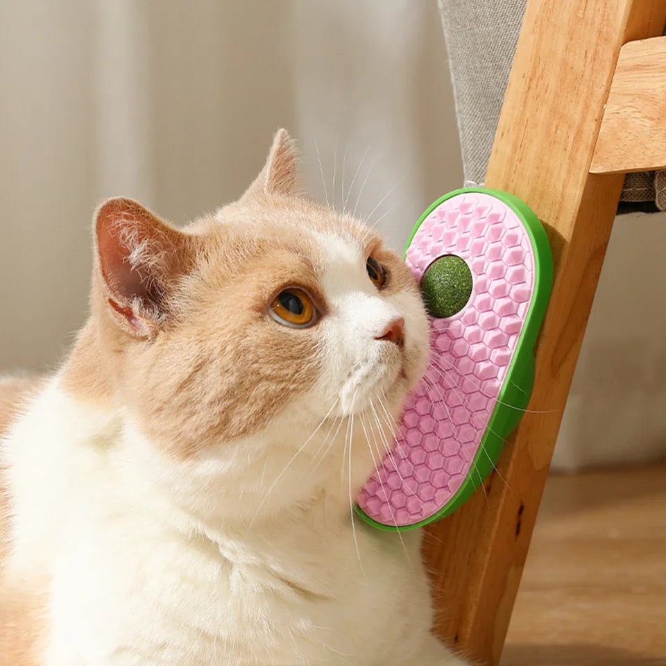 Catnip with Brush