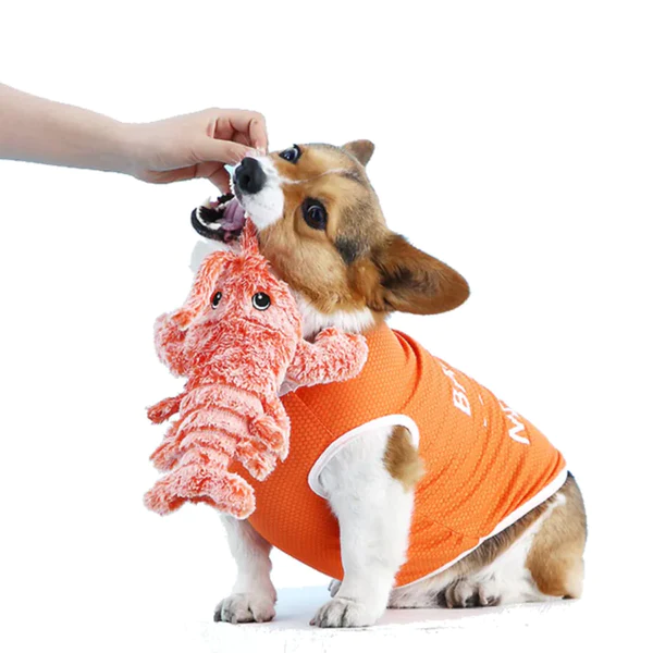 Wobbly Lobster - Interactive Dog Toy