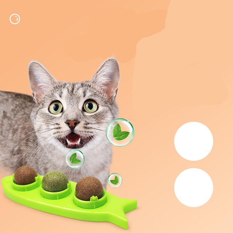 Catnip Lick Station