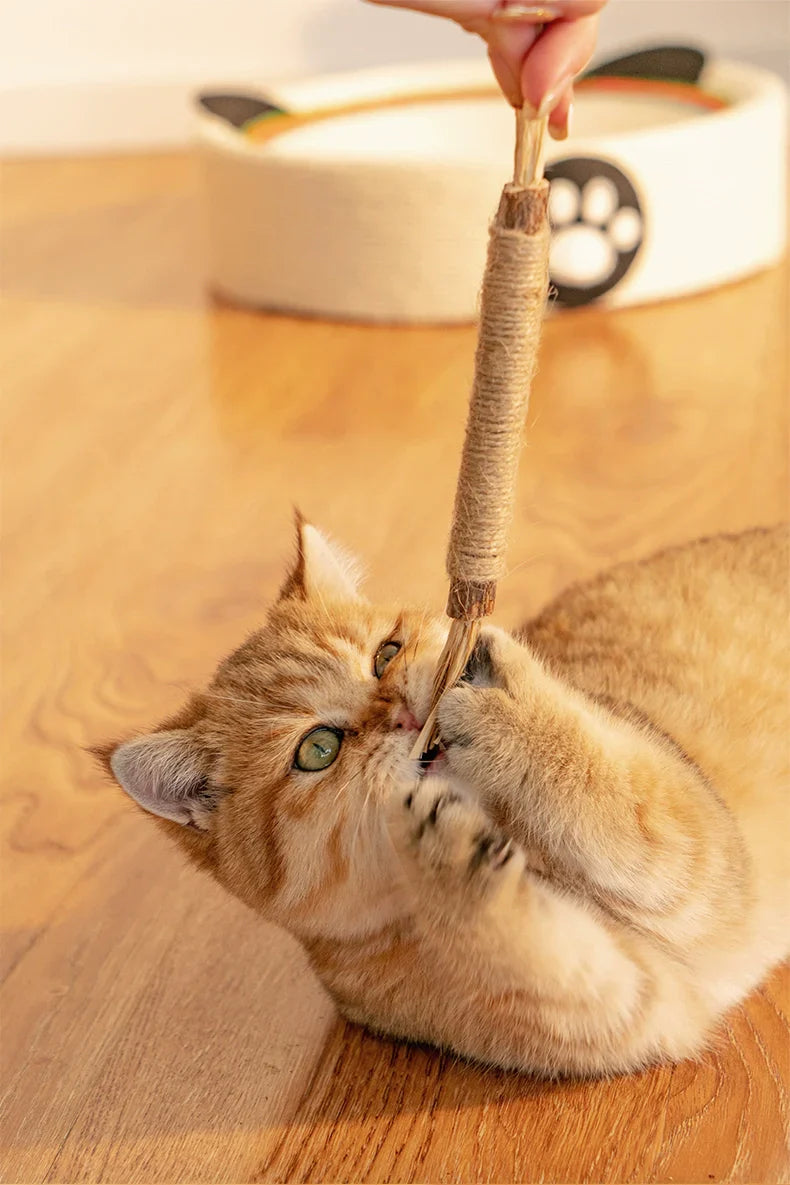 Kitty Dental Cleaning Sticks