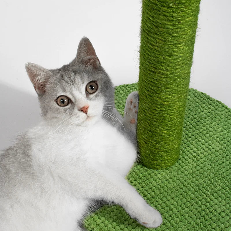 Cat Cactus Scratching Post Made Of Sisal