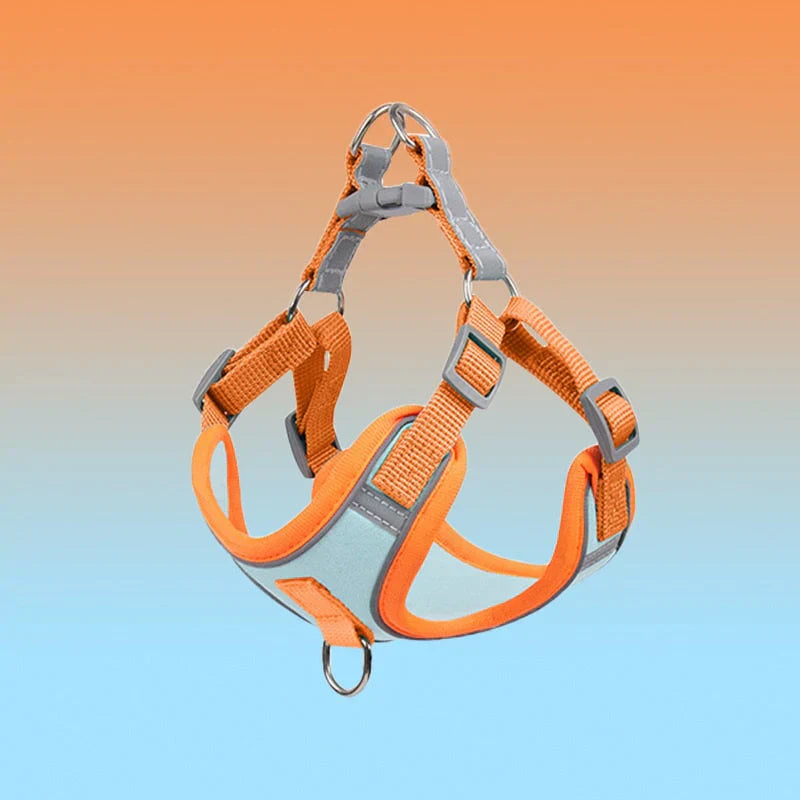 Reflective Dog Harness Set for Dogs