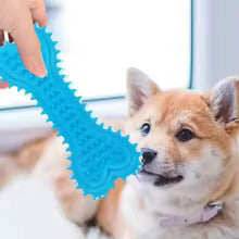 Chew Toy For Dogs - Robust Bite Bone With Pimples