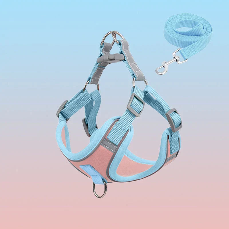 Reflective Dog Harness Set for Dogs