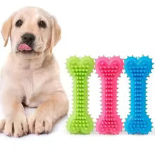 Chew Toy For Dogs - Robust Bite Bone With Pimples