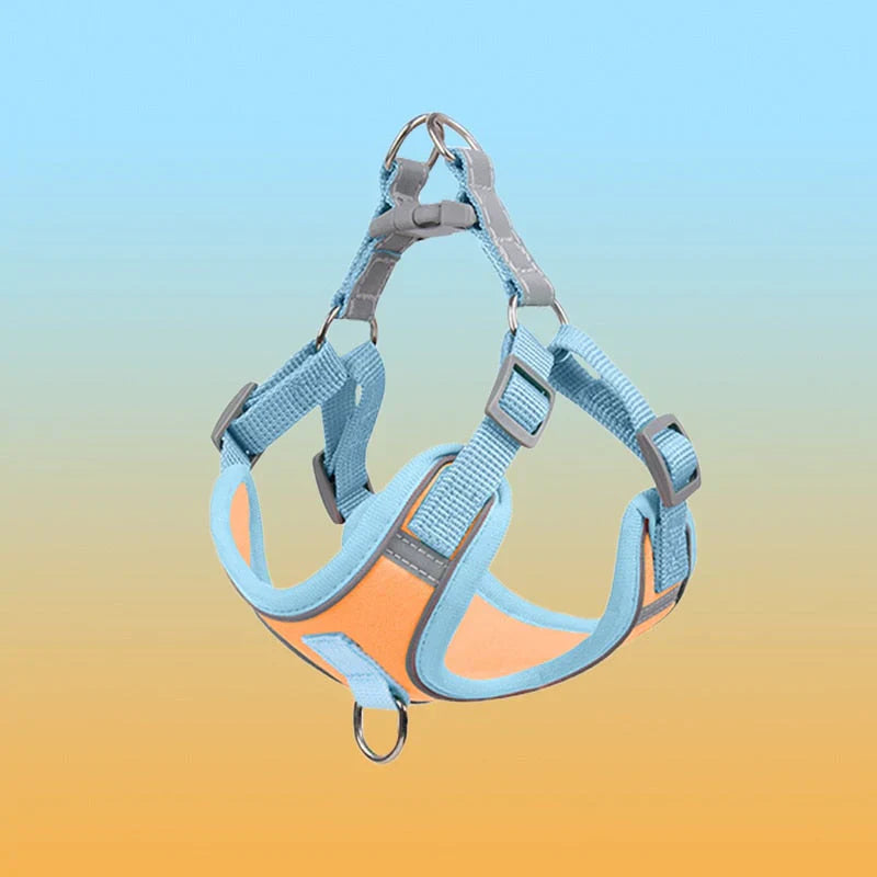 Reflective Dog Harness Set for Dogs