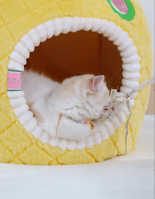 Pineapple Cat Cave - Soft And Cosy Sleeping Cave For Cats Pet Bed For Cats In Fruit Design