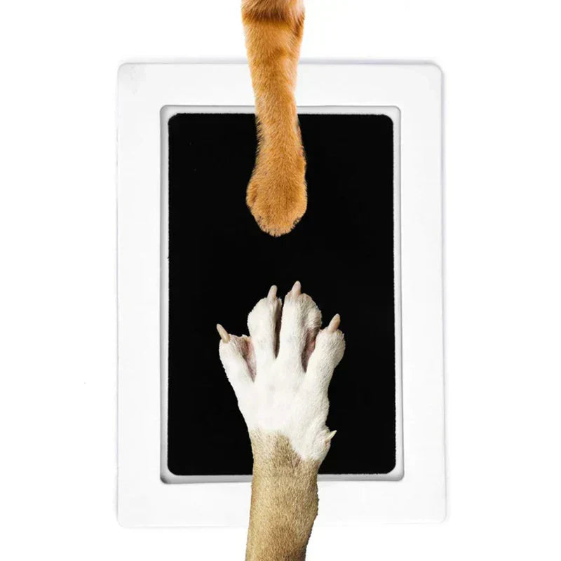 Paw Print Kit