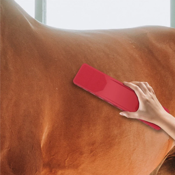 Horse Grooming Brush