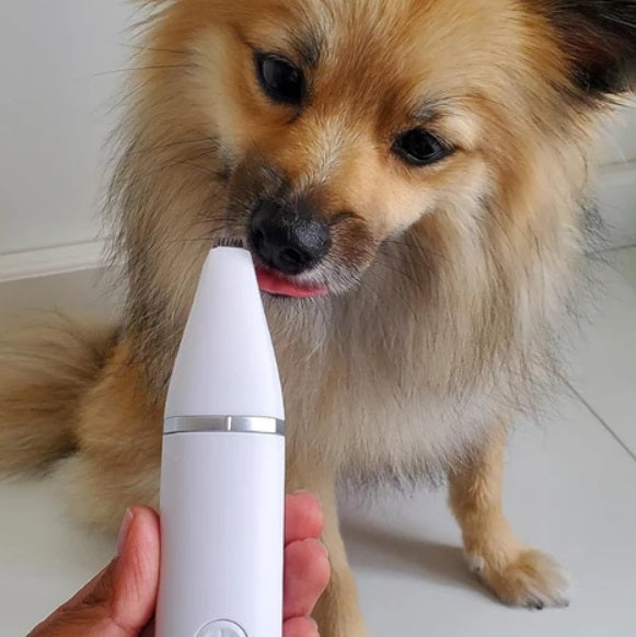 Professional 4in1 Pet Hair Trimmer With Multifunction