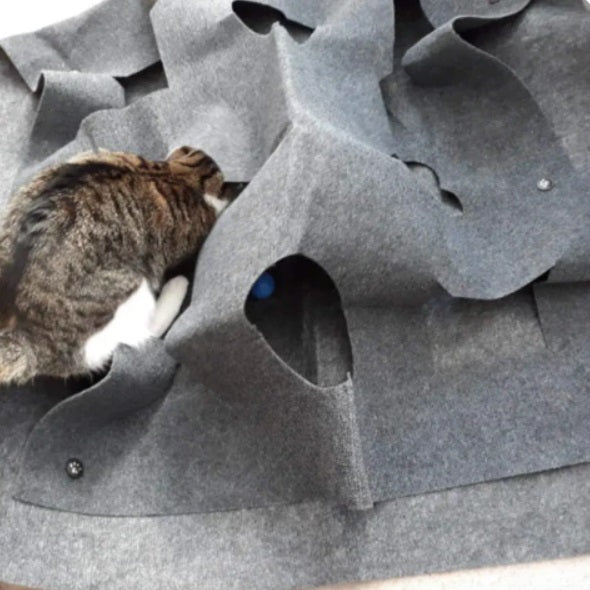 Creative Play And Hiding Mat For Cats
