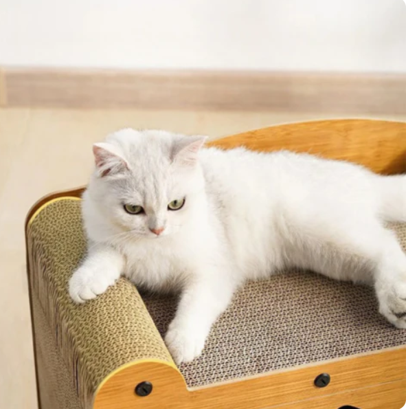 Cat House with Scratching Surface and Integrated Play Area