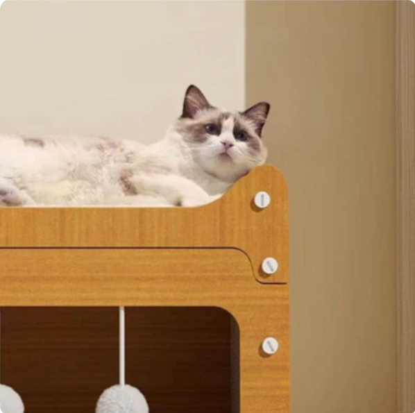 Cat House with Scratching Surface and Integrated Play Area