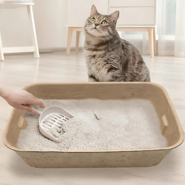 Biodegradable Cat Litter Box - Sustainable Hygiene For Your Pet