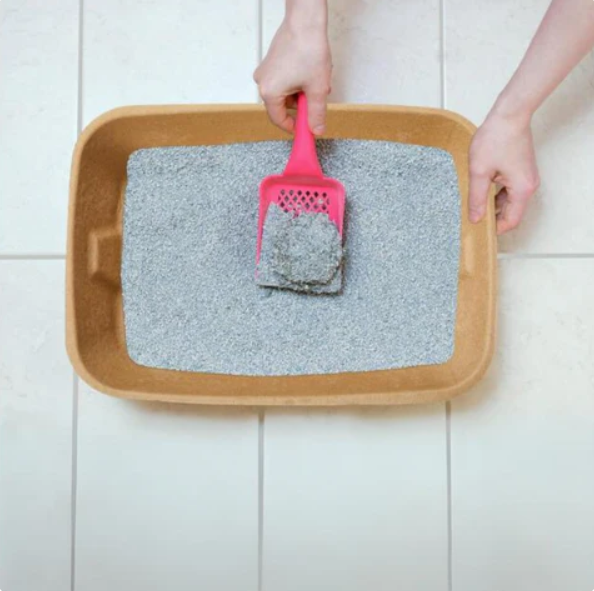 Biodegradable Cat Litter Box - Sustainable Hygiene For Your Pet