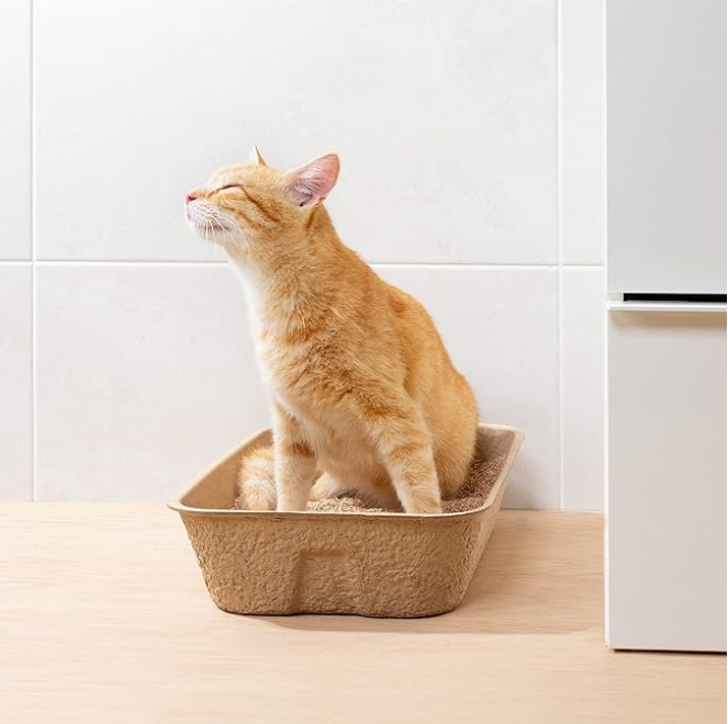 Biodegradable Cat Litter Box - Sustainable Hygiene For Your Pet