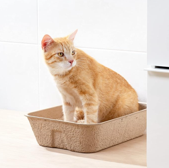 Biodegradable Cat Litter Box - Sustainable Hygiene For Your Pet