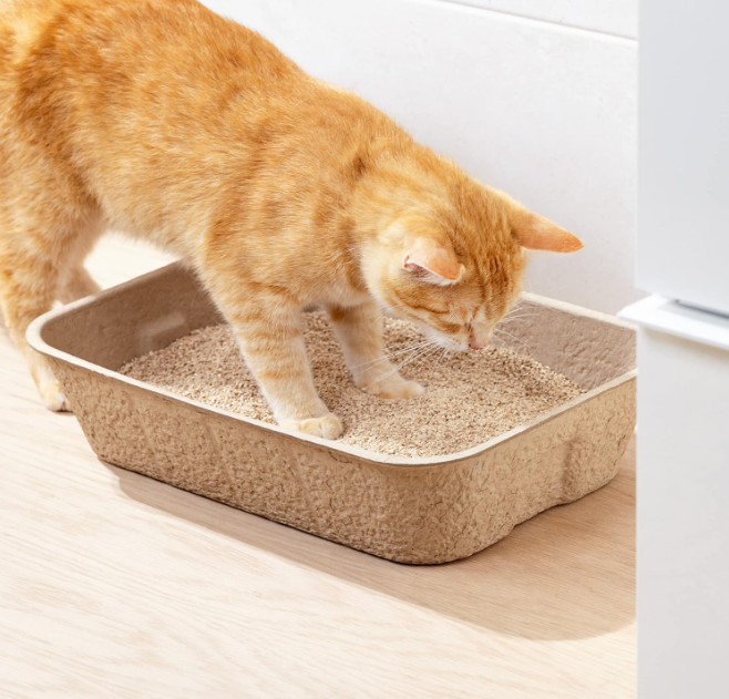 Biodegradable Cat Litter Box - Sustainable Hygiene For Your Pet