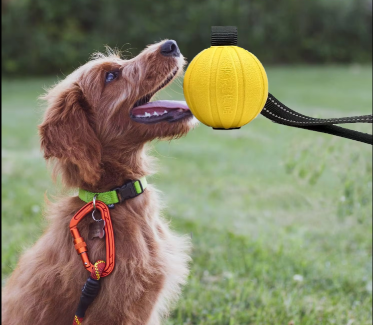 Interactive Bite Training Toy For Dogs - Robust Tug Ball