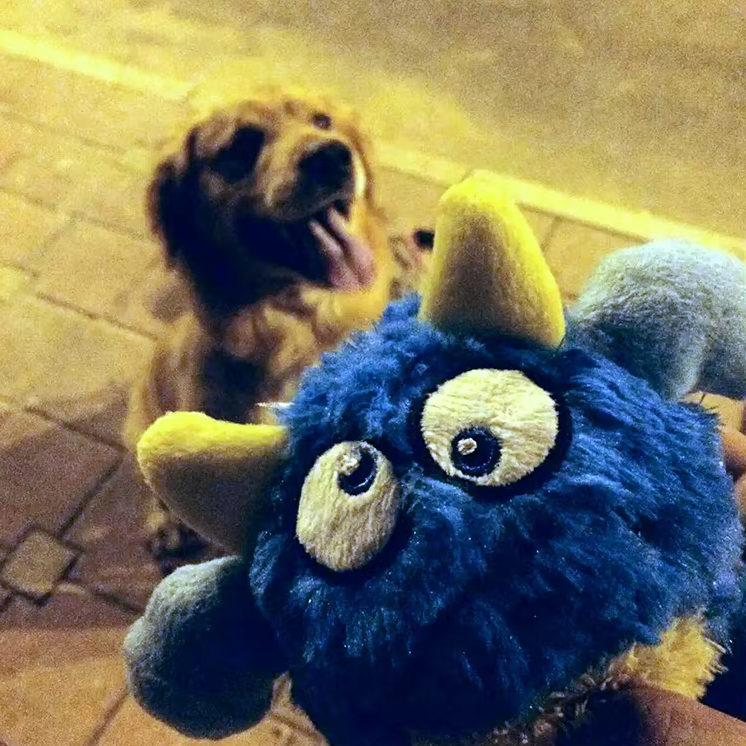 Interactive Plush Monster Ball - Fun Toy For Dogs