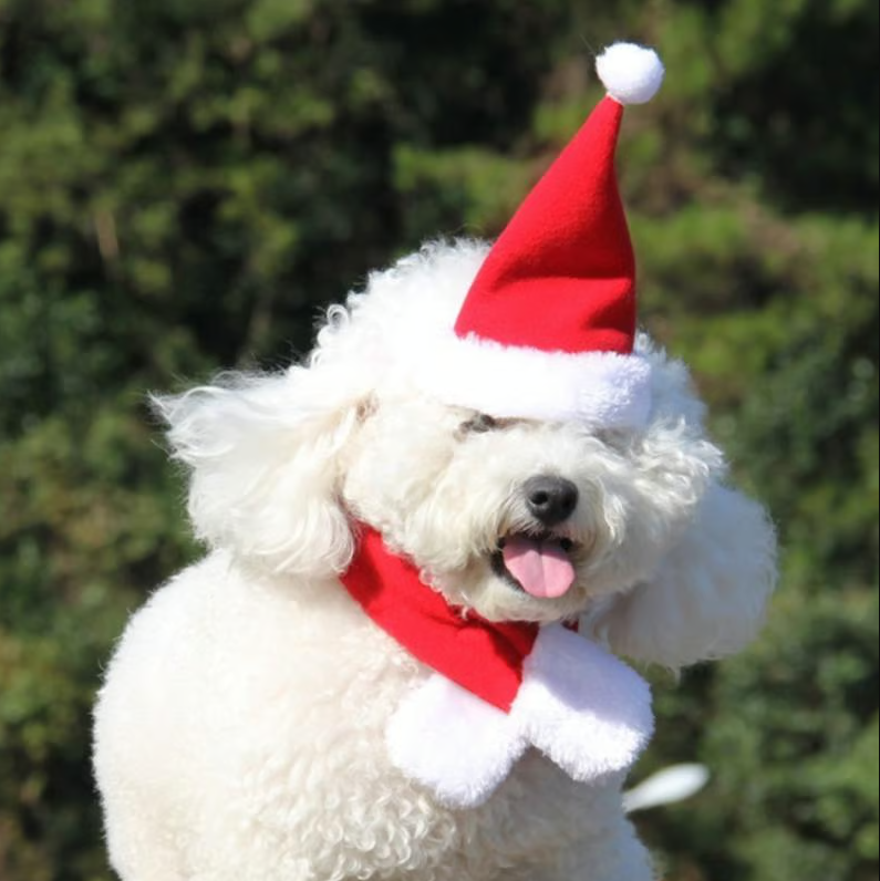 Christmas Hat With Scarf For Pets