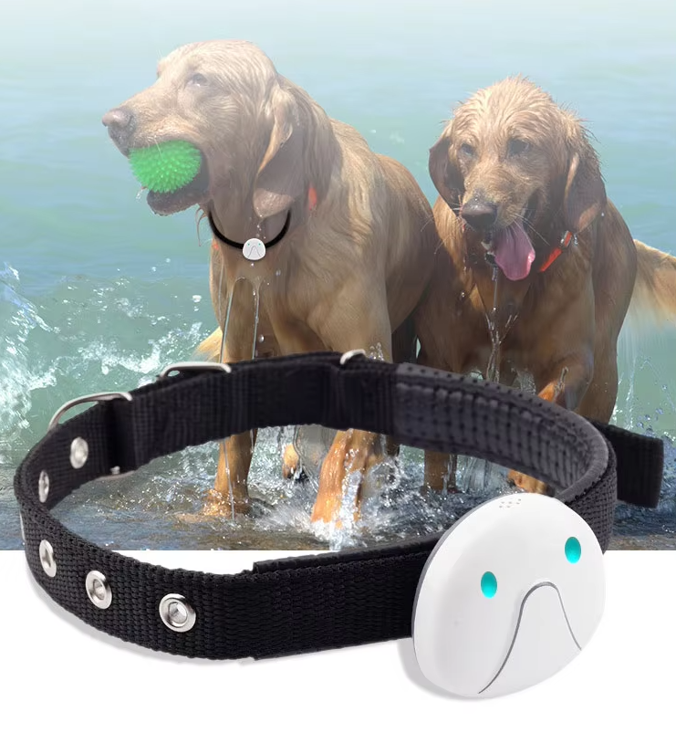 Dog Collar With Gps Tracker - Easy To Attach And Reliable
