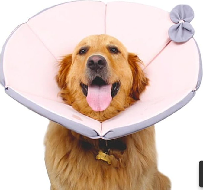 Soft Dog Collar With Comfort - Protective Collar For Dogs After Operations In Yellow And Brown