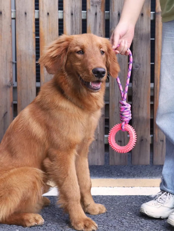Robust Dog Toy With Teething Ring - Chew Toy Tug Rope For Interactive Fun