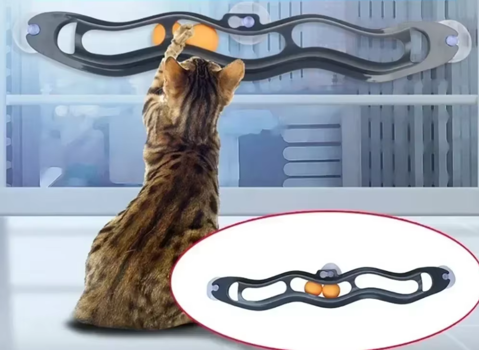 Window Cat Toy - Interactive Play Track With Movable Balls