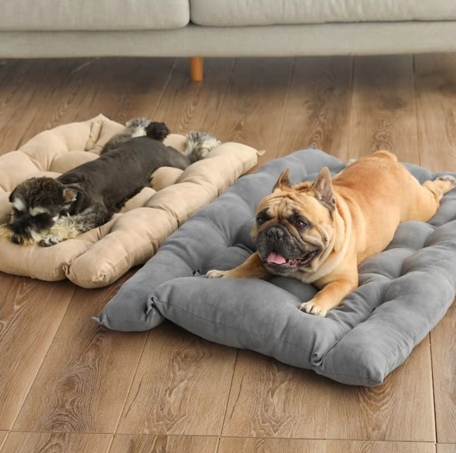 Cosy Dog Bed with Cushion - Soft Washable Pet Bed for Dogs Cats
