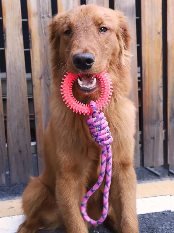 Robust Dog Toy With Teething Ring - Chew Toy Tug Rope For Interactive Fun