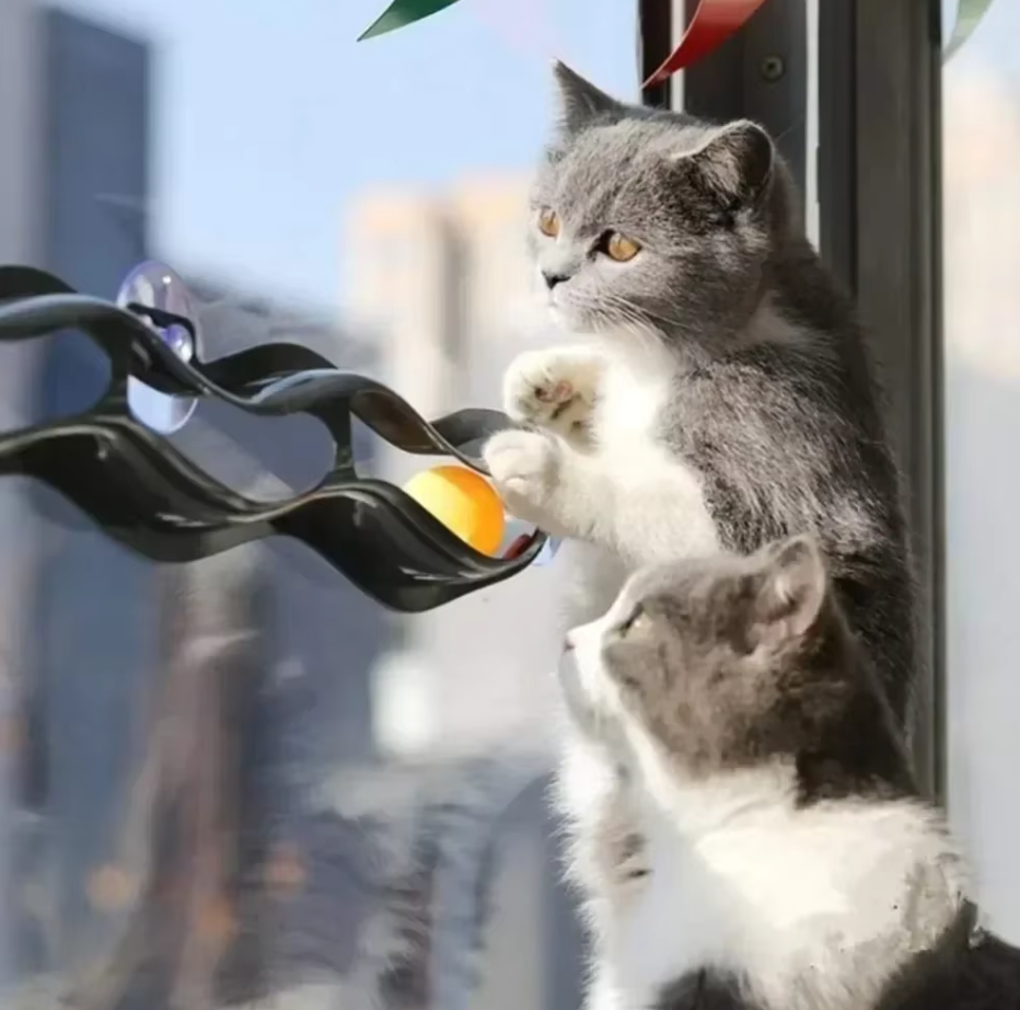 Window Cat Toy - Interactive Play Track With Movable Balls