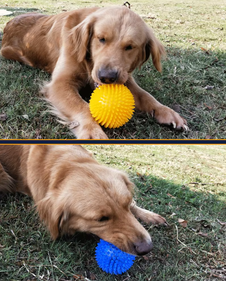 Nub Ball Dog Toy - Dental Care And Massage Ball For Playful Activity