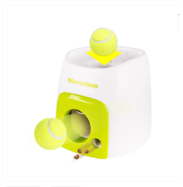 Interactive Dog Toy Puzzle - Intelligence Toy For Dogs With Ball