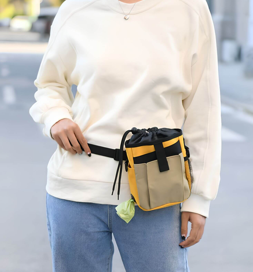 Dog Training Waist Pouch