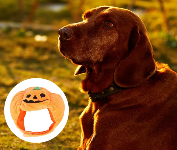 Cute Halloween Pumpkin Dog Costume - With Smiling Pumpkin Design For Small Dogs