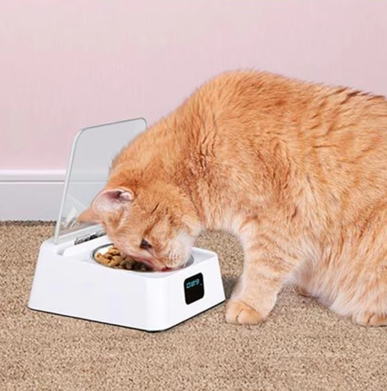 Automatic Food Dispenser For Cats With Digital Display And Lid