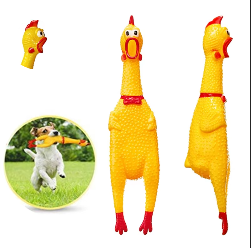 Squeaky Rubber Chicken - Fun Dog Toy