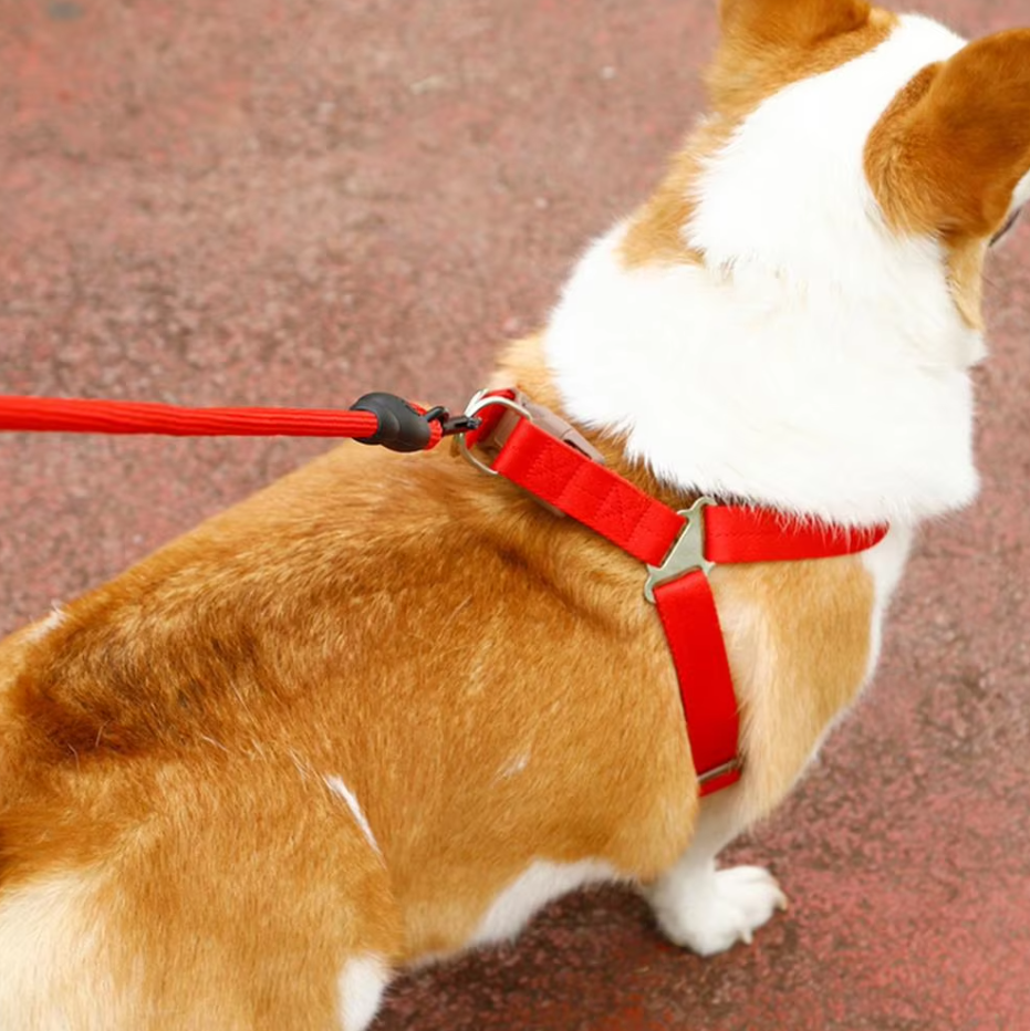 Adjustable Dog Harness With Lead In 5 Colours