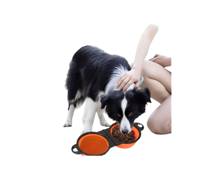 Collapsible Adjustable Double Feeding Bowl For Pets