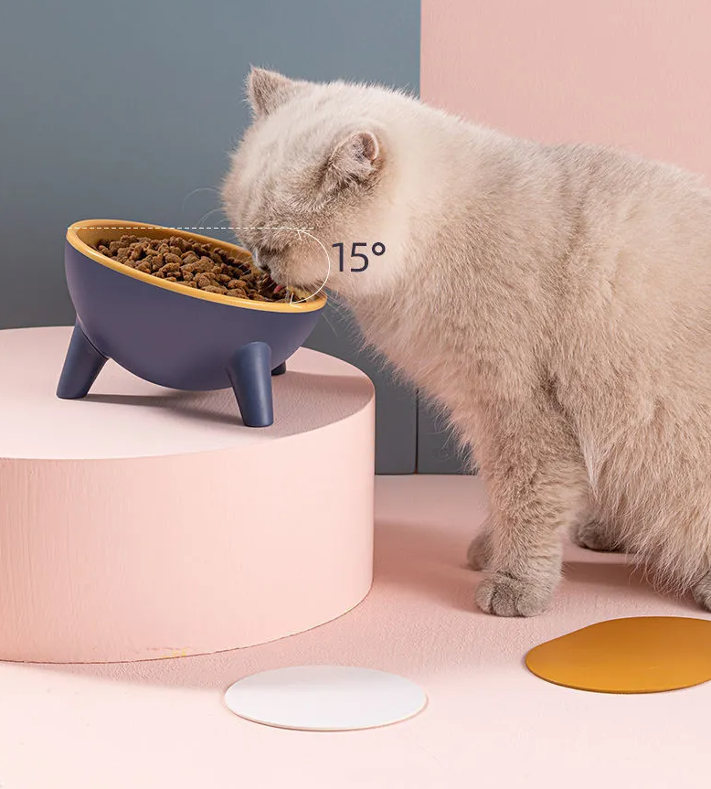 Raised Food Bowl For Cats And Dogs - Ergonomic Design