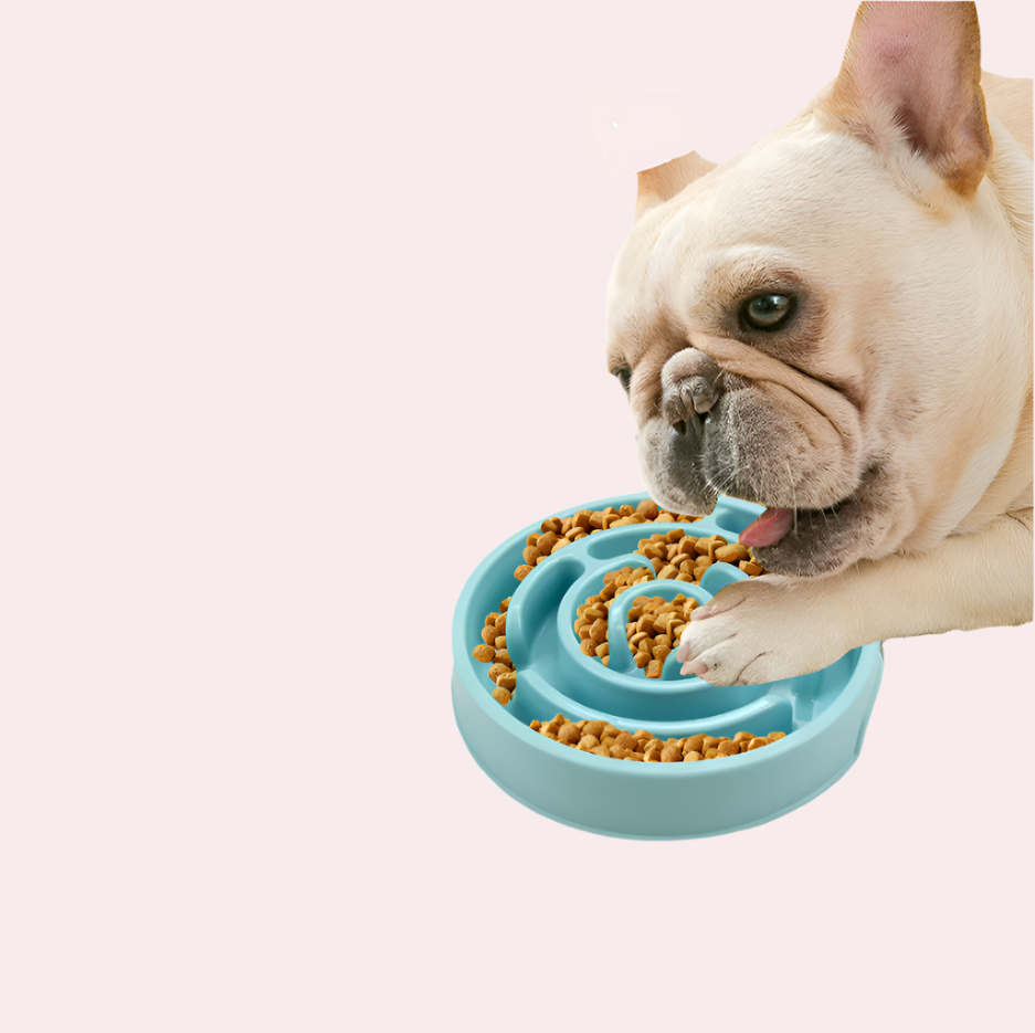Slow Food Bowl For Dogs