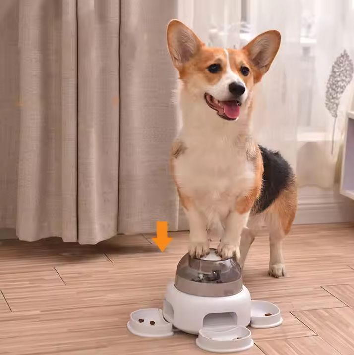 Dog Food Dispenser With Transparent Chamber - Easy To Refill And Visible Food