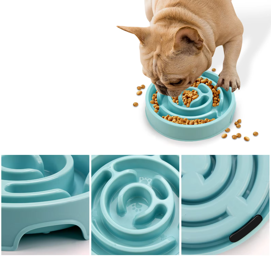 Slow Food Bowl For Dogs