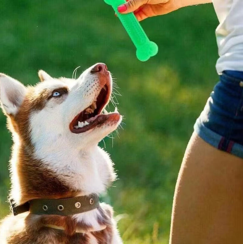 Teeth Cleaning Chew Bone For Dogs - Robust Rubber Teething Toy